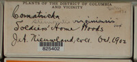 Image Associated With the Occurence